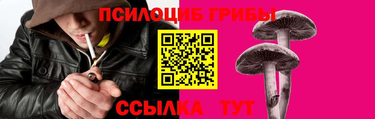 Галлюциногенные грибы MAGIC MUSHROOMS Янаул