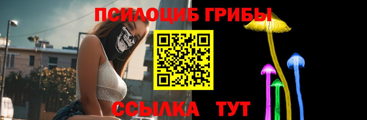 Янаул  Псилоцибиновые грибы Magic Shrooms  Вход с VPN  Псилоцибиновые грибы мухоморы 